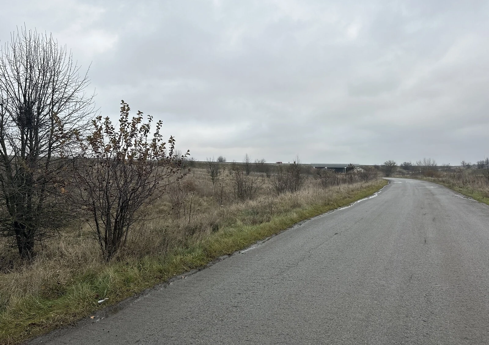 Ділянка 138.44 соток, Мишковичі: чорнозем, сільгоспземля, фото 5