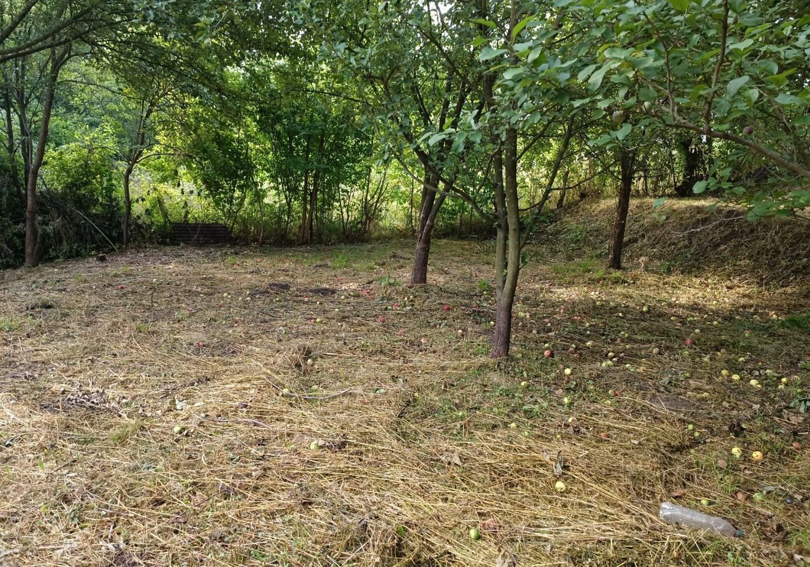Дача, Нова Водолага: ділянка 10 соток, коробка без даху, фото 4