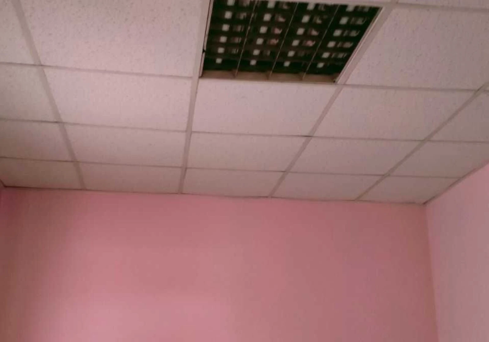 Частина будинку, Небесної Сотні: цегляні стіни, централізоване опалення, фото 5