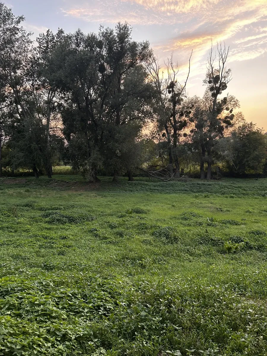 Ділянка 86 соток, Старі Безрадичі: житлова й суспільна забудова - фото 3