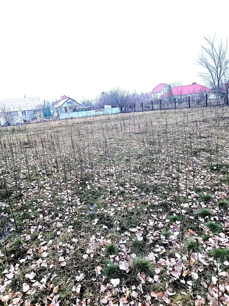 Участок 13,88 соток, Александровка: красная линия, до Днепра 20 мин, фото 5