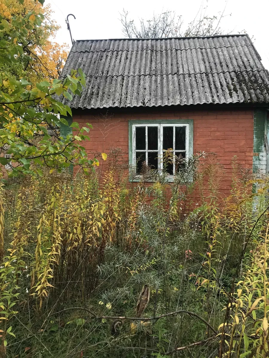 Ділянка 6 соток, Сади Мічуріна: цегляний будинок, фруктові дерева, фото 4