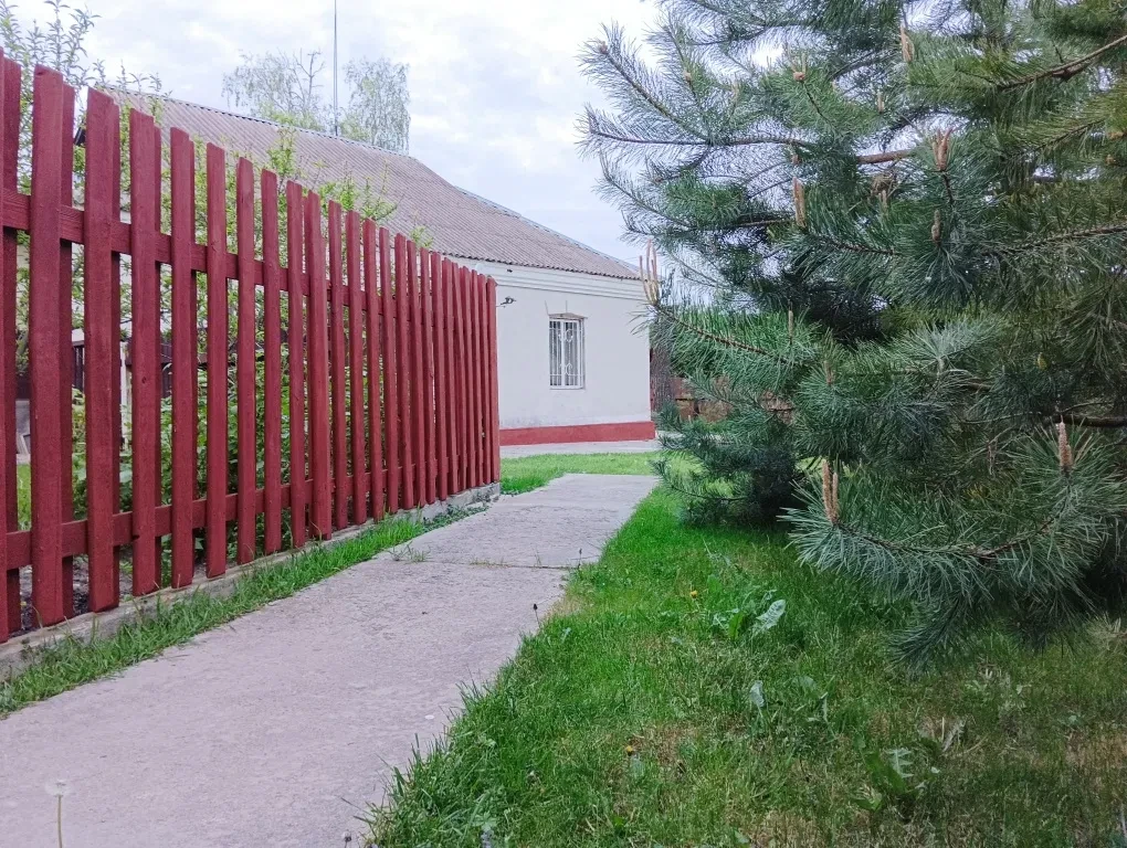 Дом, Григоровка: автономный генератор, евроремонт, сад и огород, фото 3