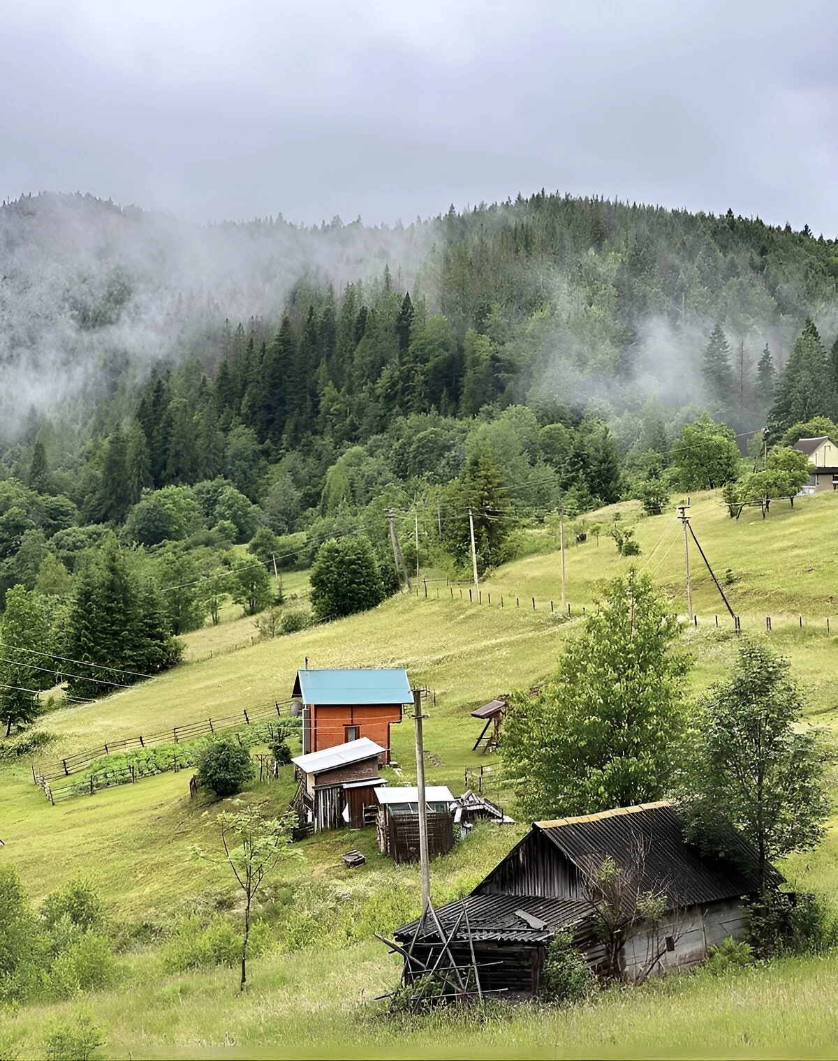 Участок 60 соток, Микуличин: под жилую застройку, бассейн, колодец - фото 1