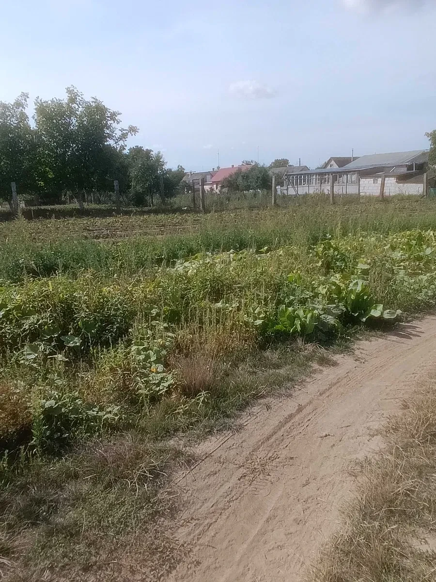 Ділянка 0.09 соток, Млинів: під будівництво, газ і вода - фото 4