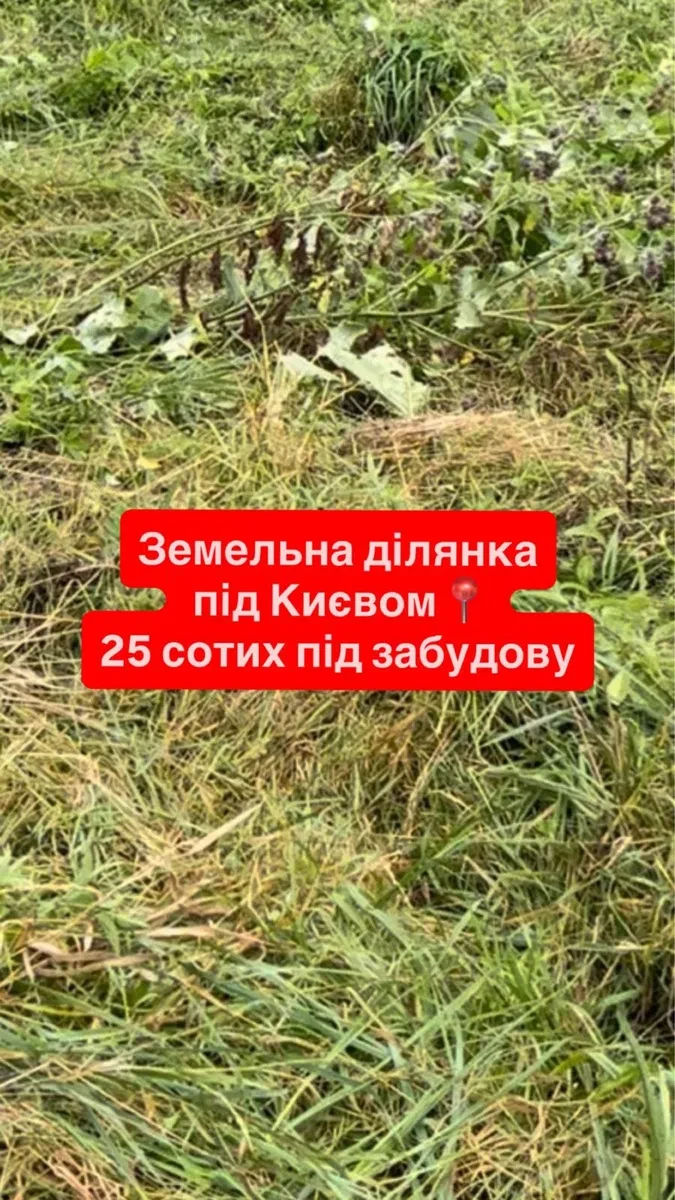 Ділянка 25 соток, Юрів: під забудову, асфальтований під’їзд - фото 1