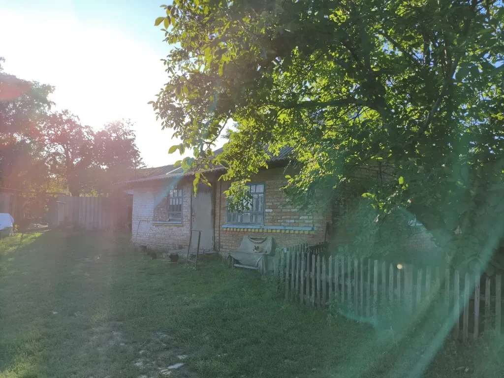 Будинок, Петрове: 50 соток, вода зі свердловини - фото 3