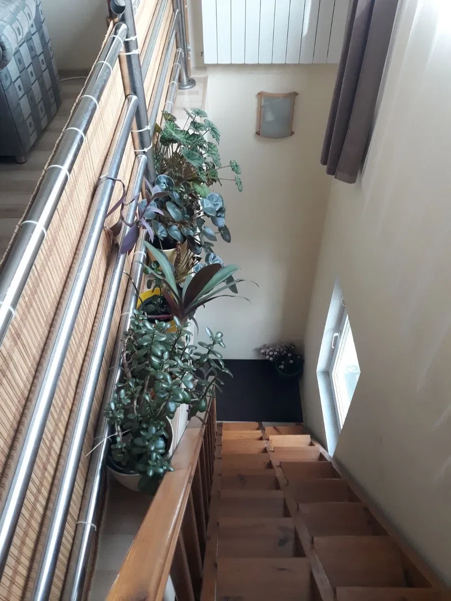 3-кімнатна квартира, Підгірці: еко фло, паркування для двох машин - фото 3