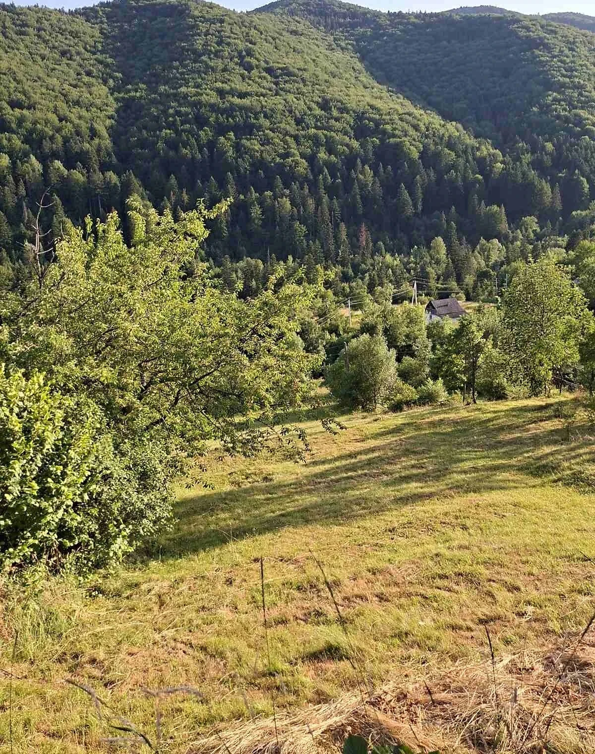 Ділянка 15,2 сотки, Яремче: сільськогосподарська, електрика - фото 4