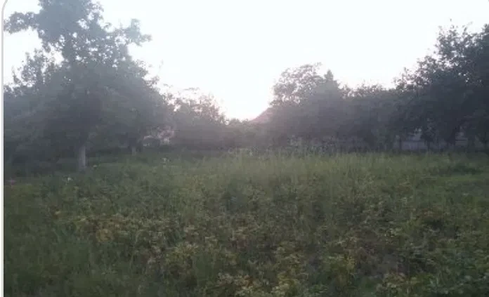 Ділянка 8 соток, Васильків: рівна, огорожена - фото 2