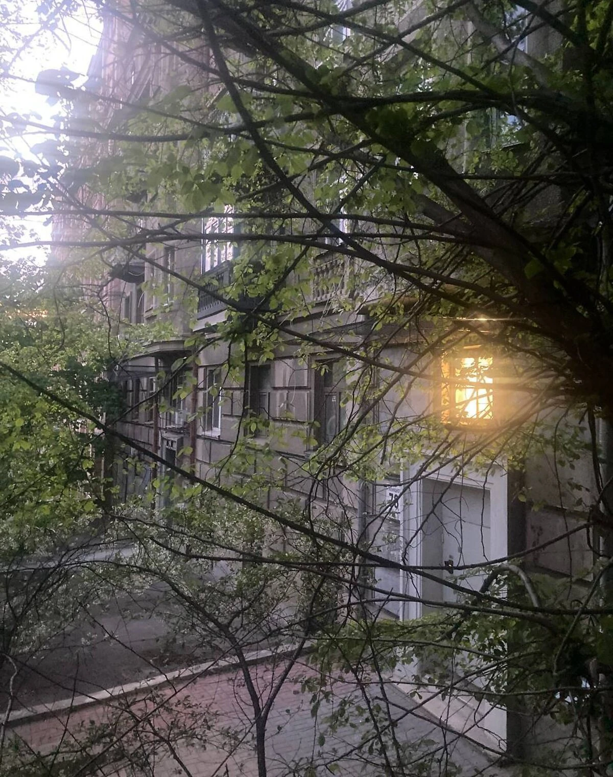 2-комнатная квартира, Центр: потолки 3.7 м, сталинка - фото 1