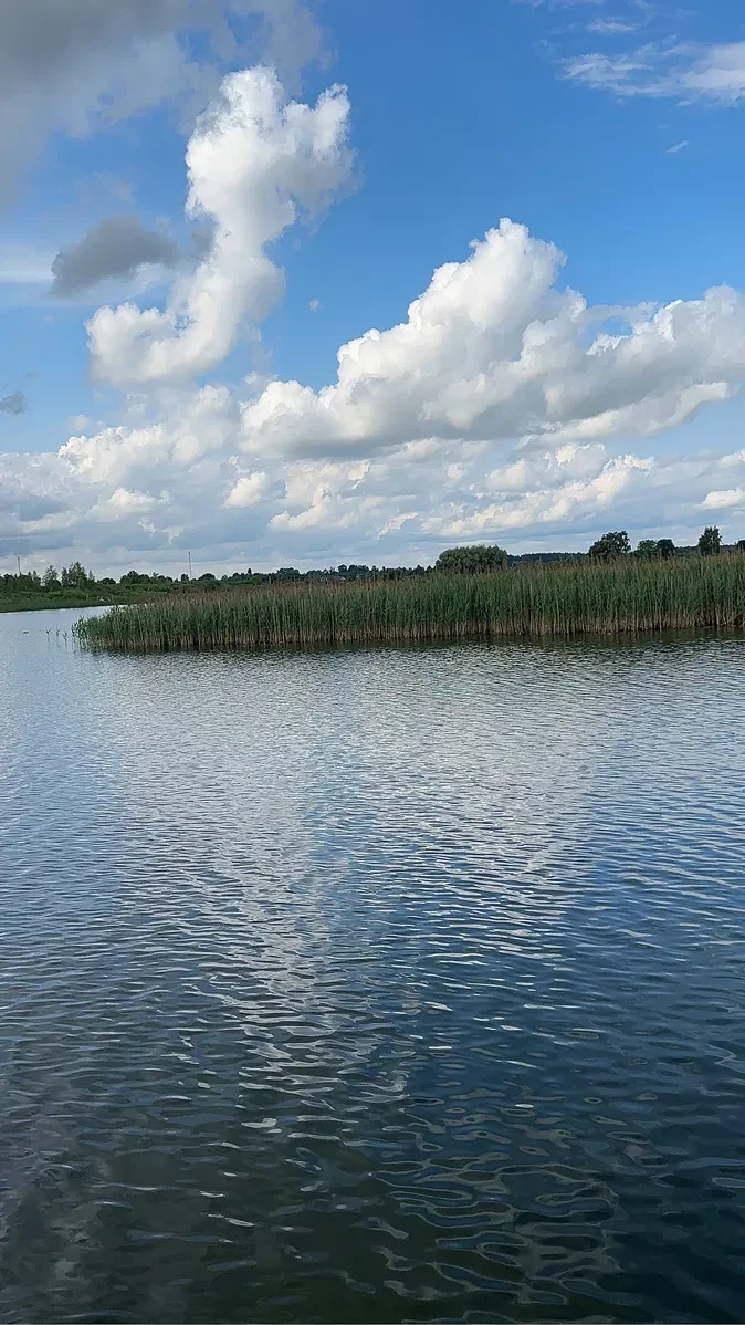 Ділянка 0.24 соток, Уховецьк: біля озера Ухо, електромережа поруч - фото 2