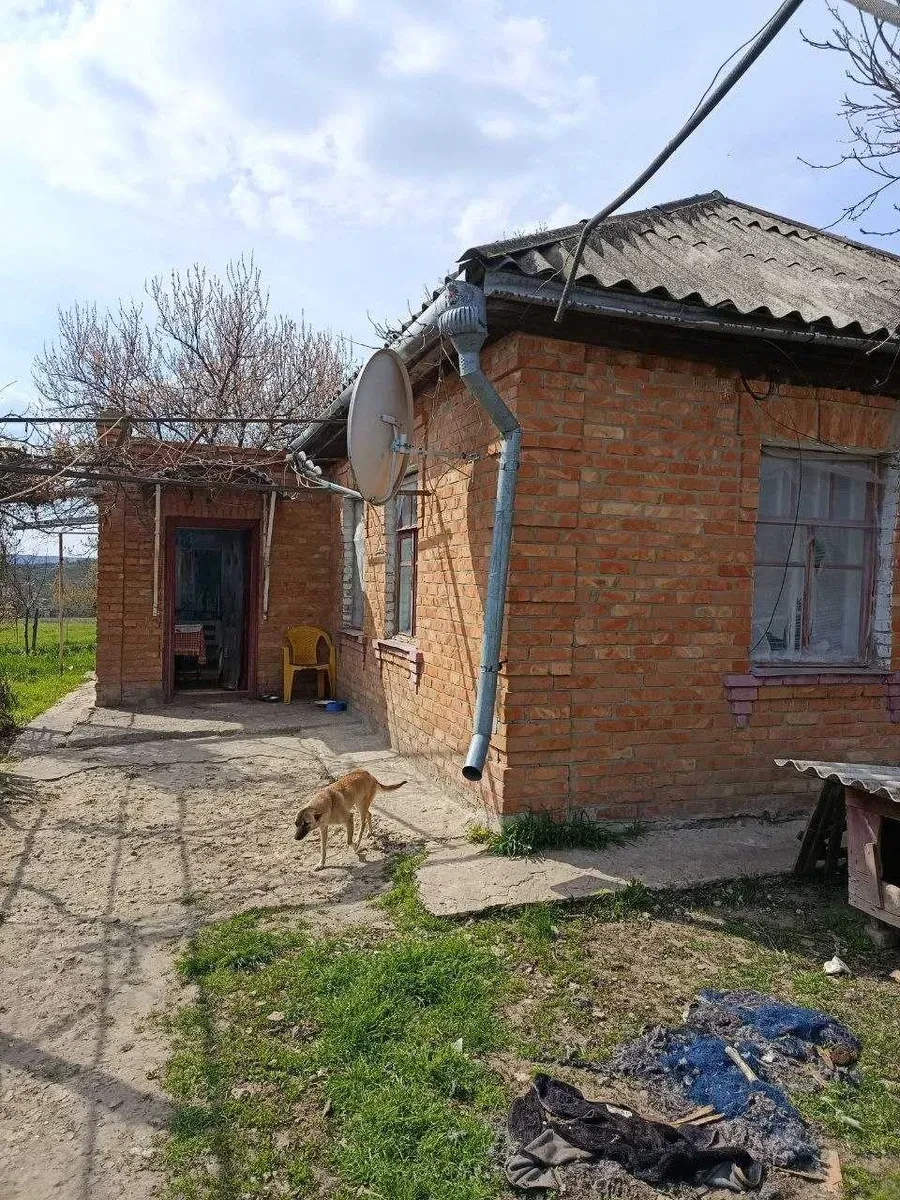 Будинок, Троїцьке: два окремі будинки, 25 соток, торг, фото 2
