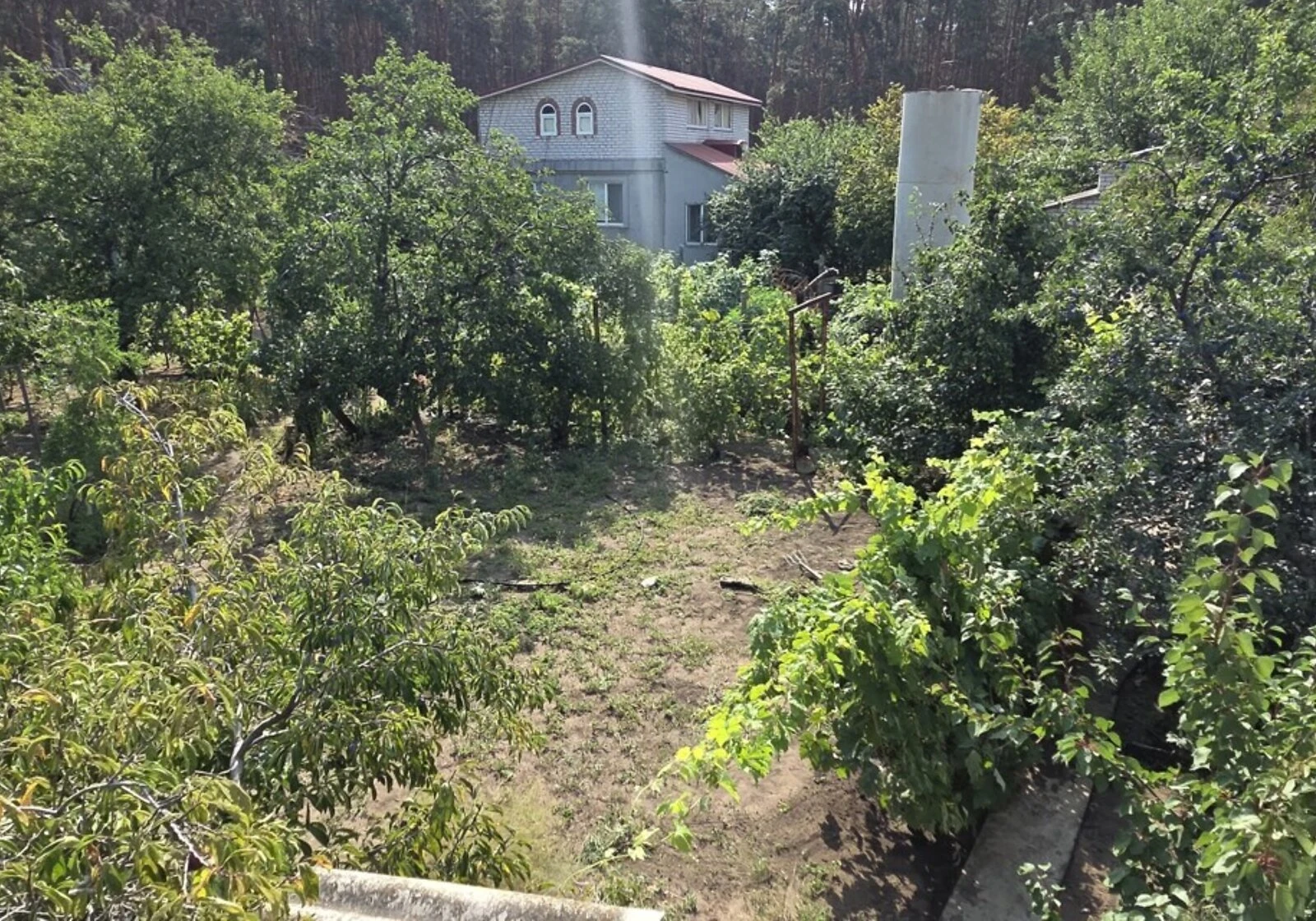 Дача, Баловне: веранда, ділянка 603 м² - фото 4