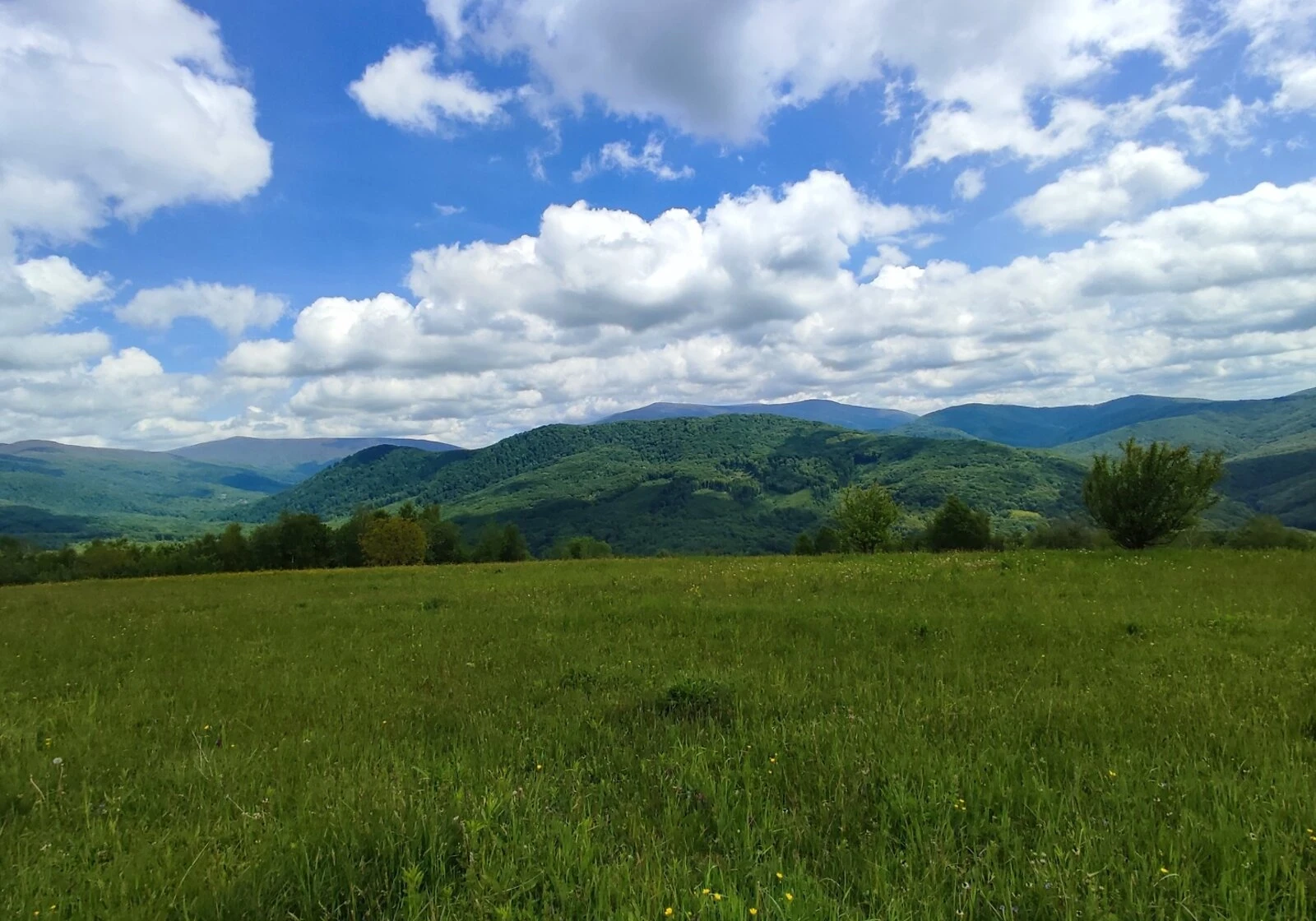 Участок 13.2 сотки, Вільшинки: сельскохозяйственное назначение - фото 1