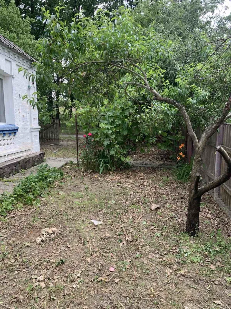 Будинок, Звенигородка: пічне опалення, 5 соток, біля стадіону, фото 4