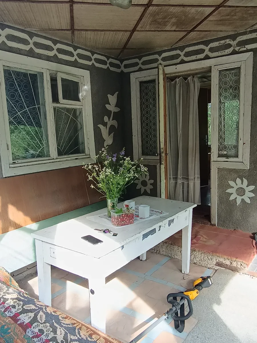 Дача, Хутір Залізний: краєвид на озеро й ліс, тераса - фото 1