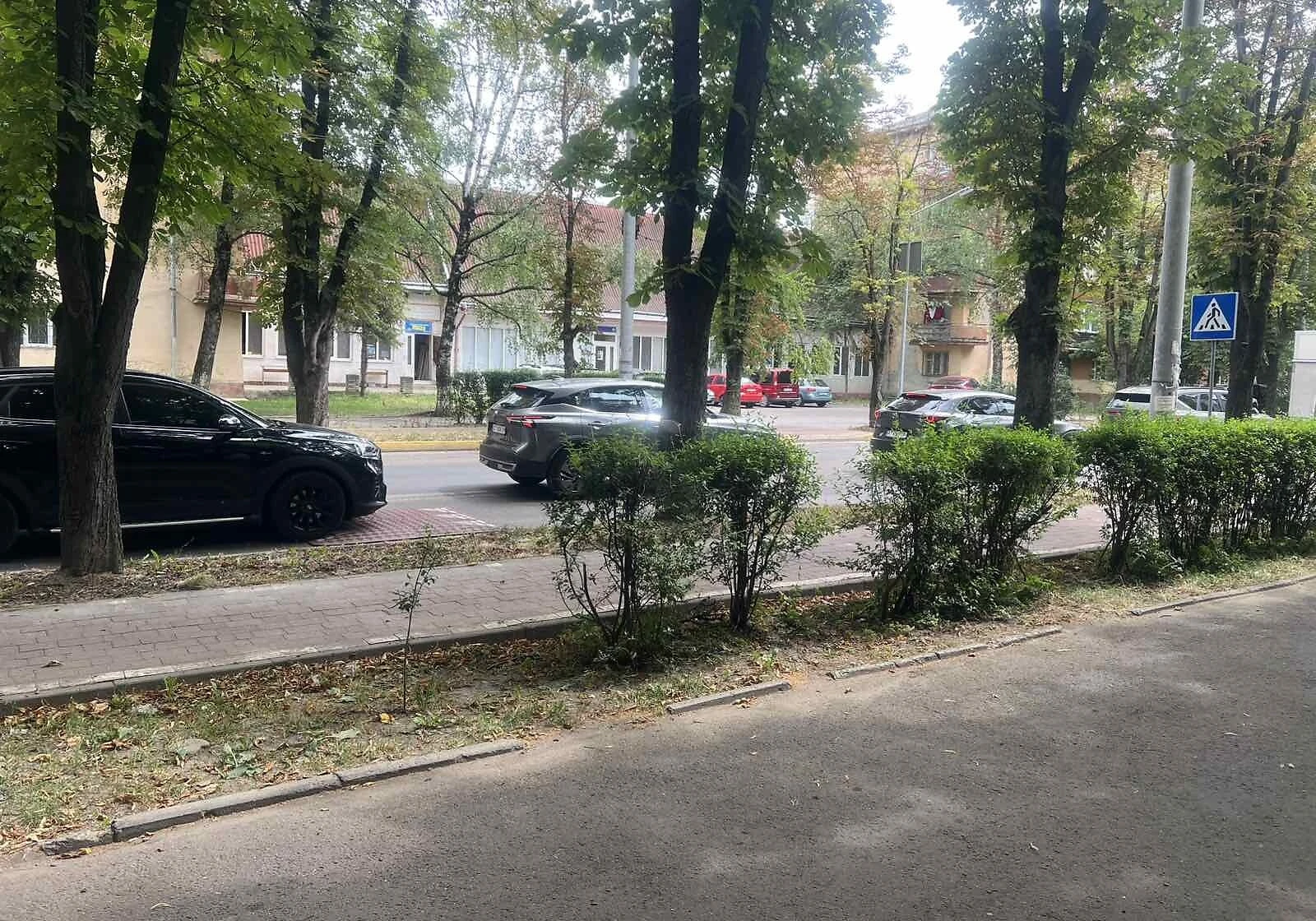 3-кімнатна квартира, Центр: цегляні стіни, інтернет без світла - фото 5