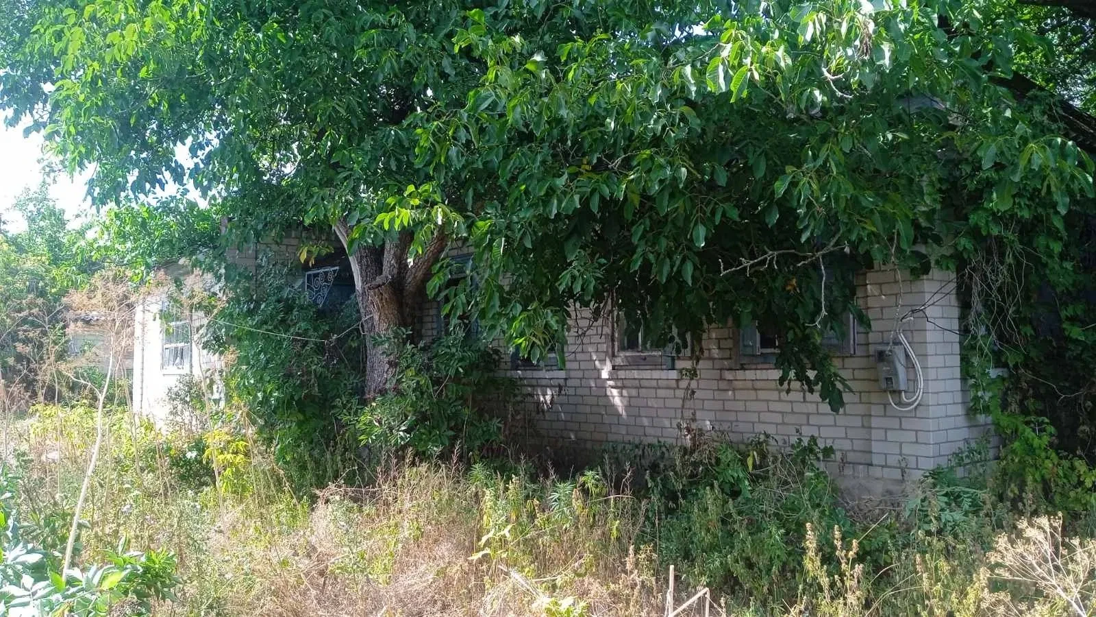 Ділянка 1 560 соток, Попівка: будинок, під ремонт - фото 3