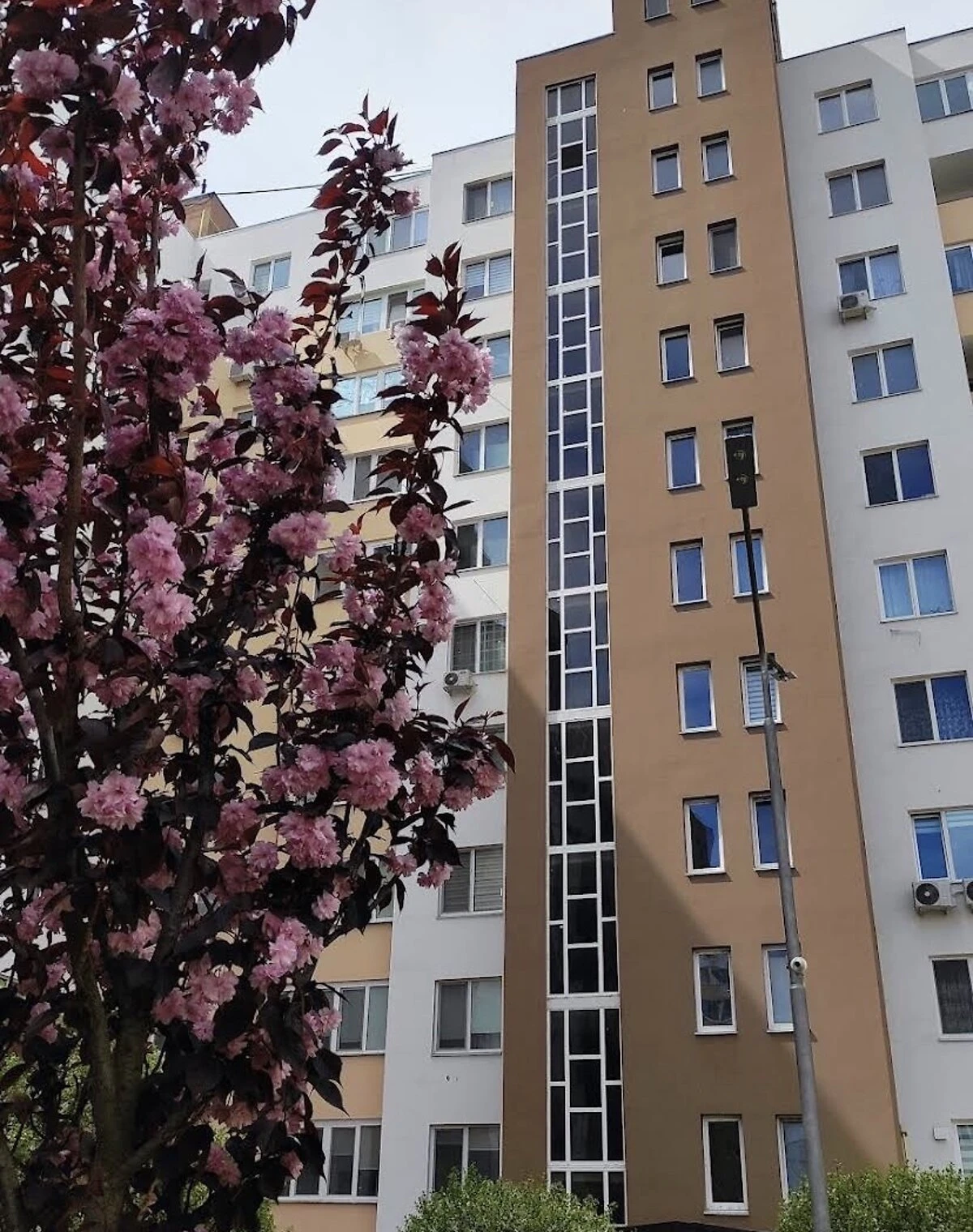 1-кімнатна квартира, Лузанівка: не використовувалась після побудови - фото 1