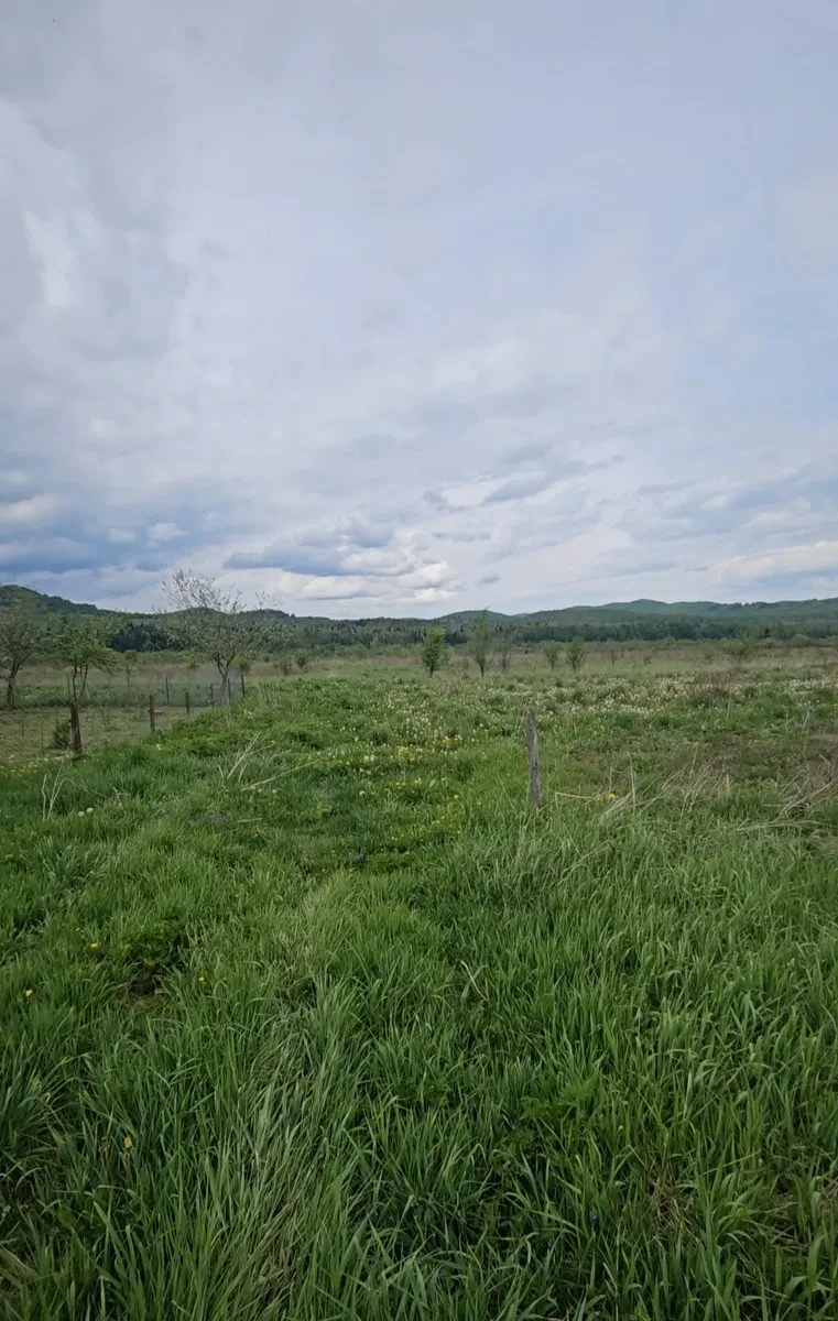 Ділянка 10 соток, Корчин: під будівництво, між річкою та горами, фото 3
