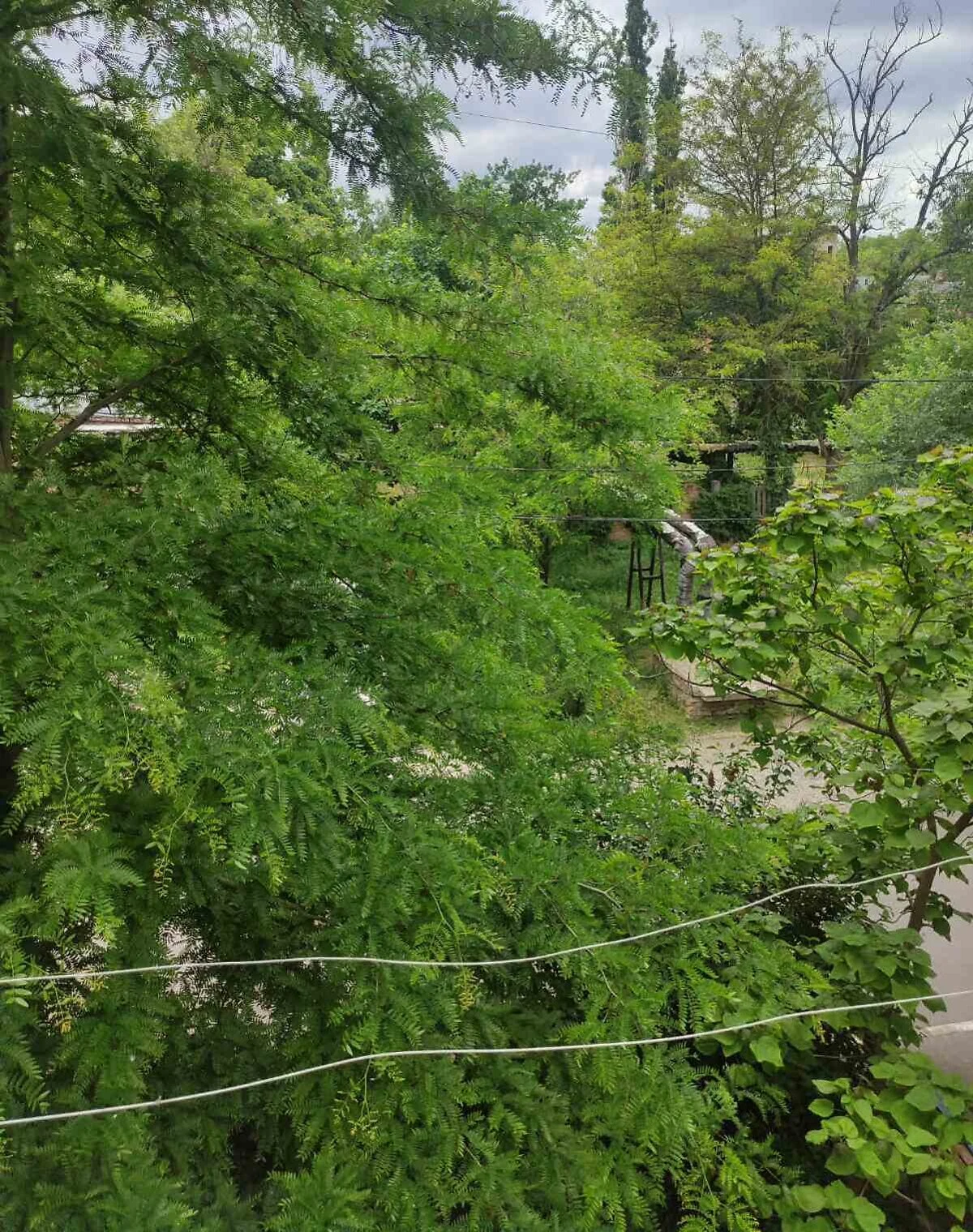 3-кімнатна квартира, Заводський: газове опалення, торг - фото 4