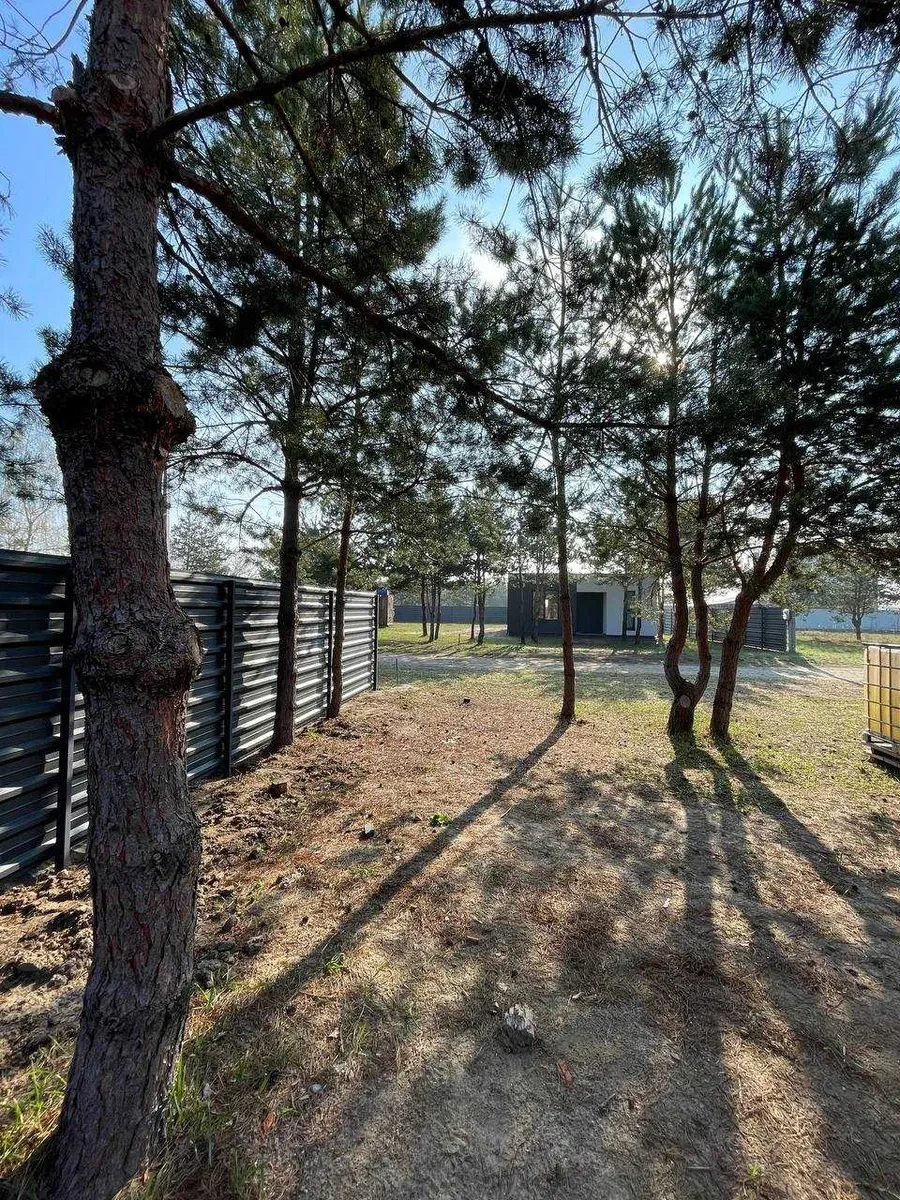 Ділянка 6 соток, Ясногородка: сосни, ліс, світло 11 кВт