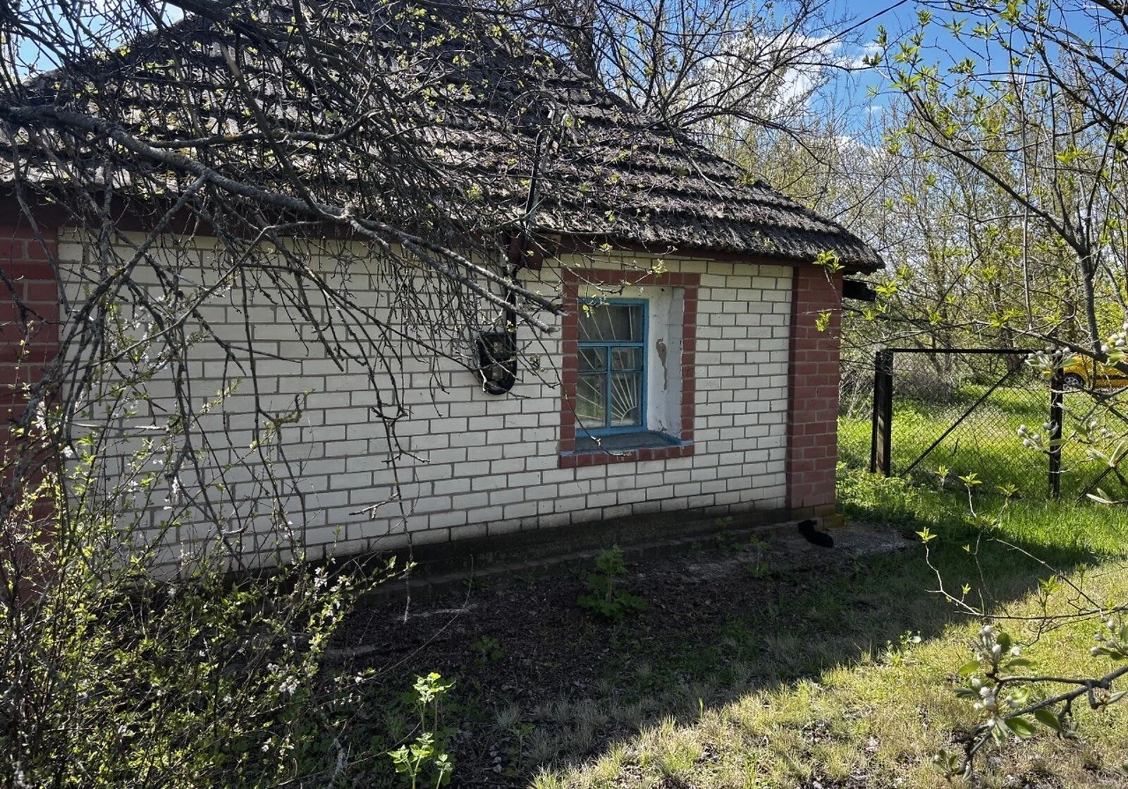 Дача, Сухая Солоница: участок 23 сотки, сад и хозпостройки, фото 5