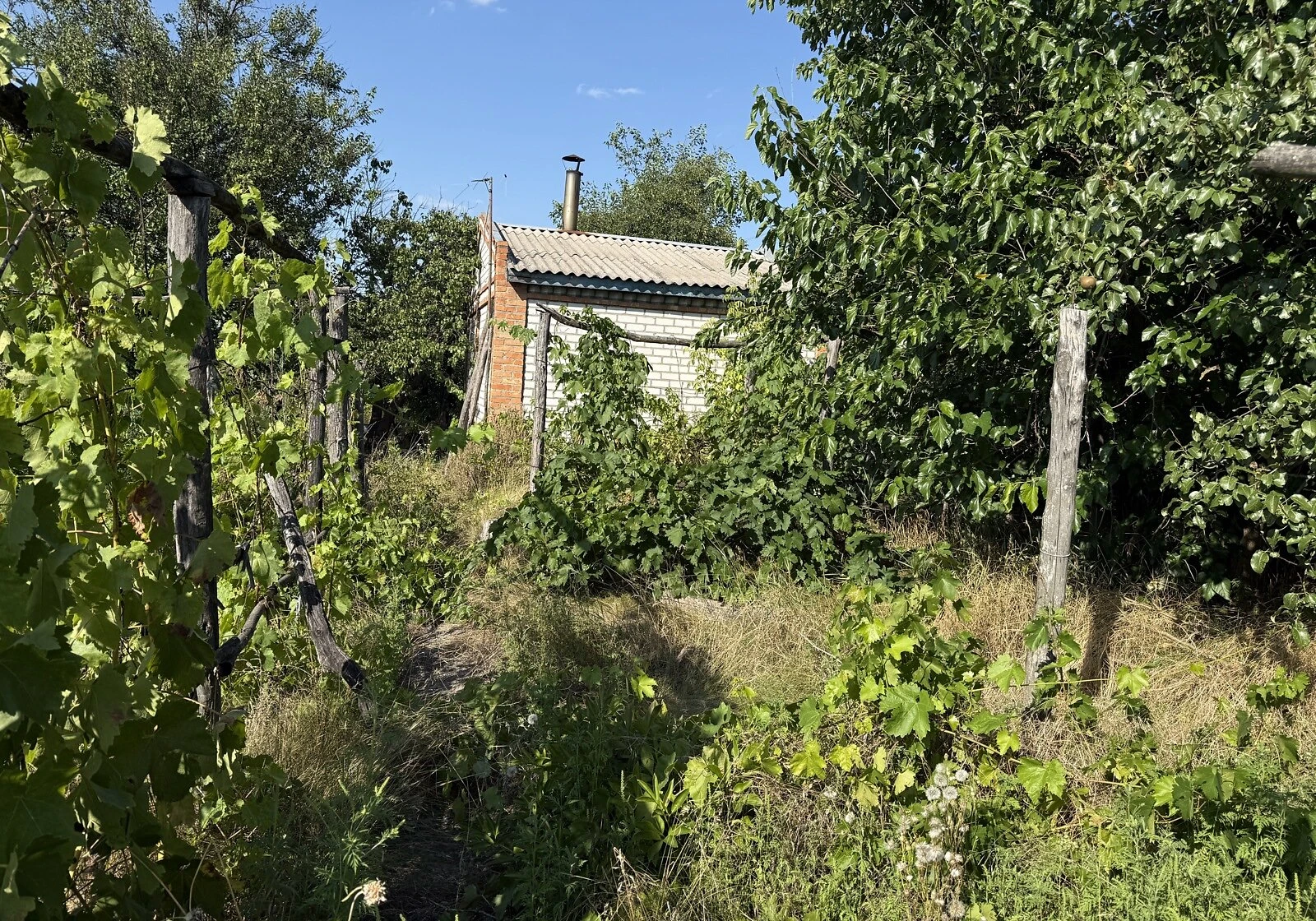 Будинок, Потоки: пічне опалення, свердловина, працює опалення без світла - фото 5