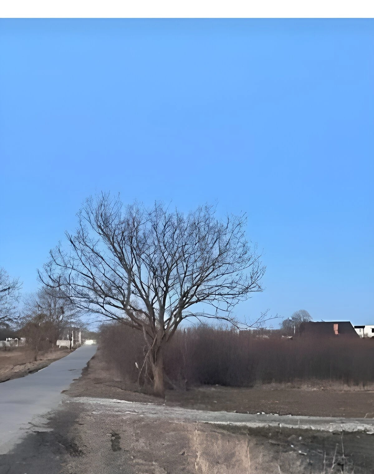 Участок 15 соток, Лука-Мелешковская: ровный, чернозем, фото 3