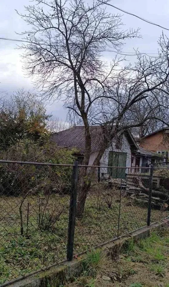 Будинок, Галич: сад, 10 соток, два підвали, фото 4