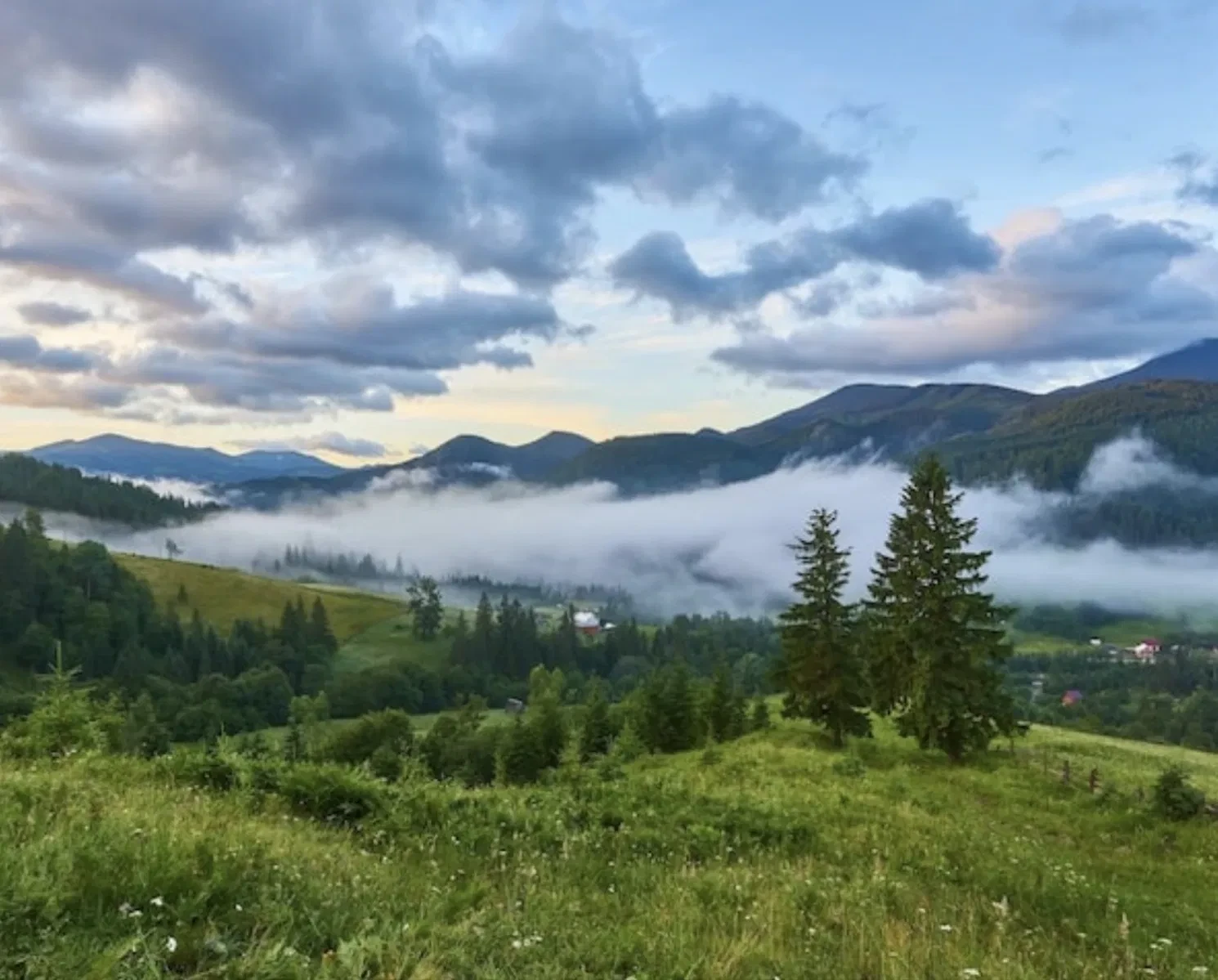 Ділянка 100 соток, Тухля: панорамний вид на гори та ліс, поруч Goro - фото 1