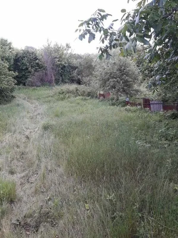 Будинок, Новобаварський: річка в кінці ділянки, торг, фото 3