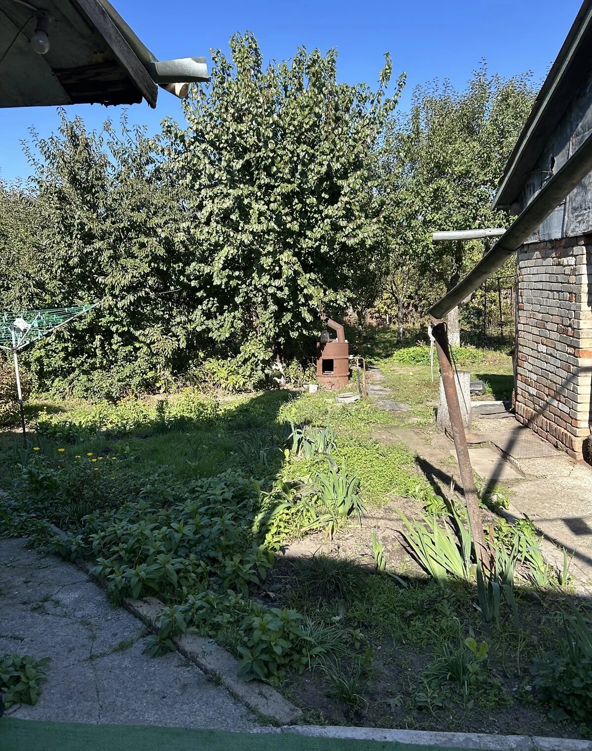 Дом, Звенигородка: колодец, сад и огород, фото 3