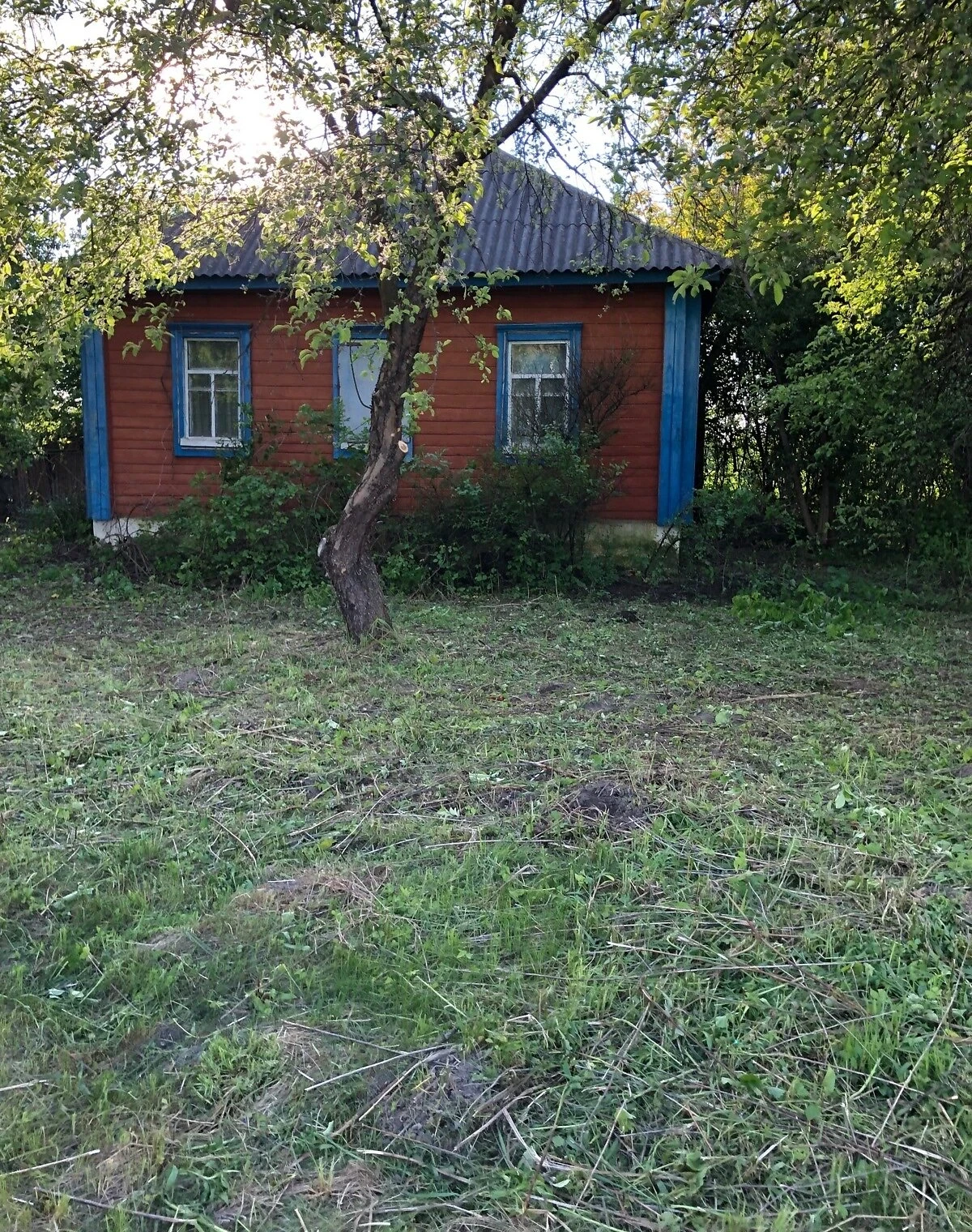 Дом, Веселевка: участок 25 соток, требует ремонта, фото 2