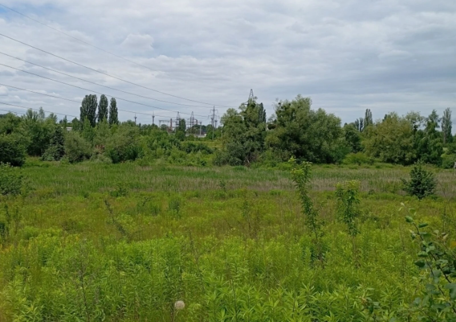 Ділянка 12 соток, Клітчин: природне озеро, чорнозем - фото 3