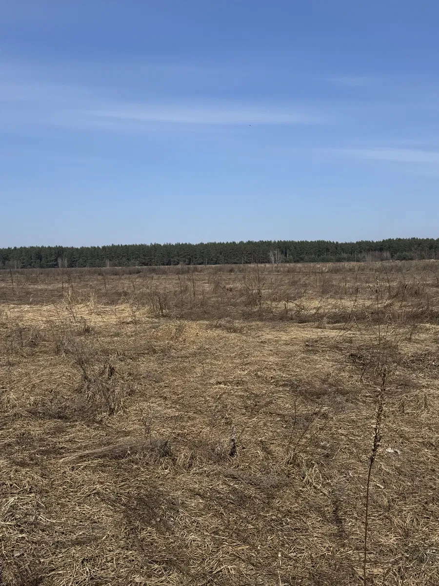 Ділянка 16 соток, Здвижівка: асфальтована дорога, електрика і газ, фото 2