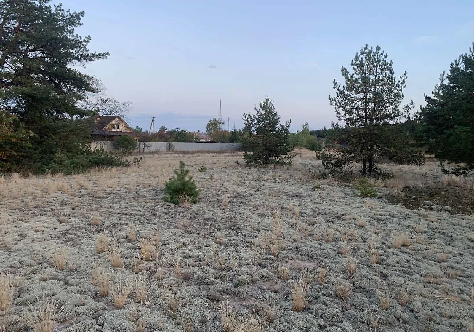 Ділянка 25 соток, Ровжі: під житлову забудову, рівнинний рельєф - фото 4