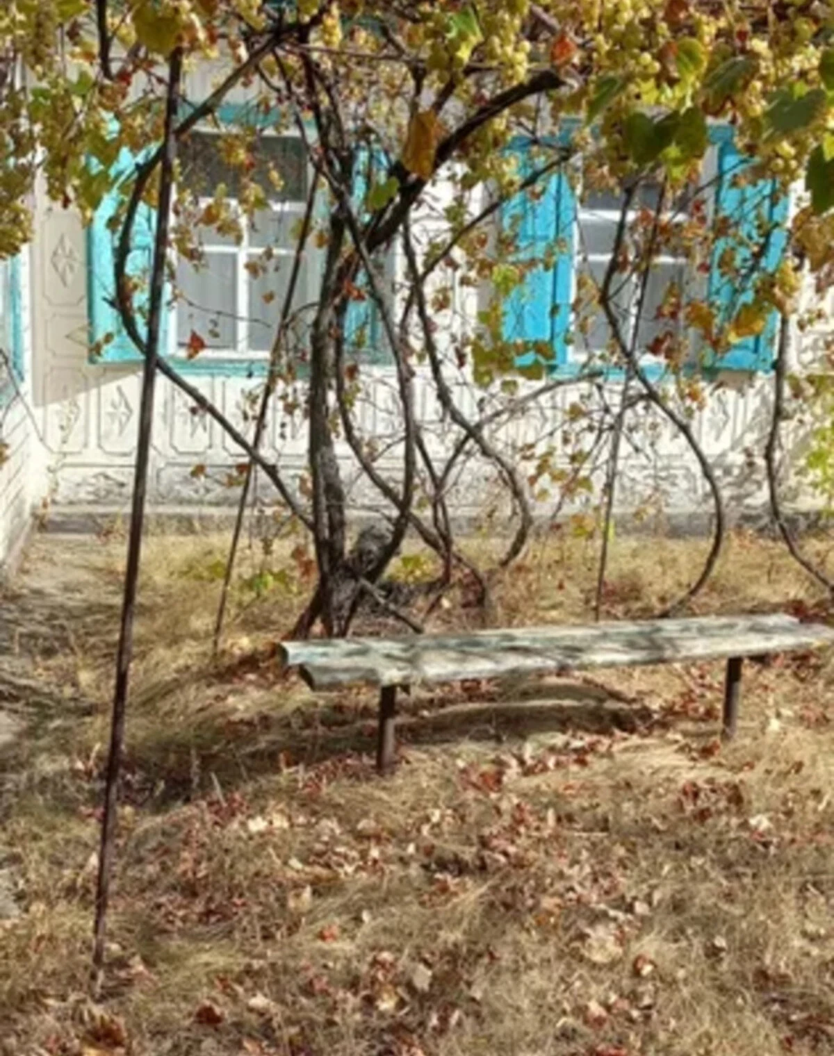 Будинок, Чорнявка: веранда, 23 сотки, цегляні стіни - фото 2