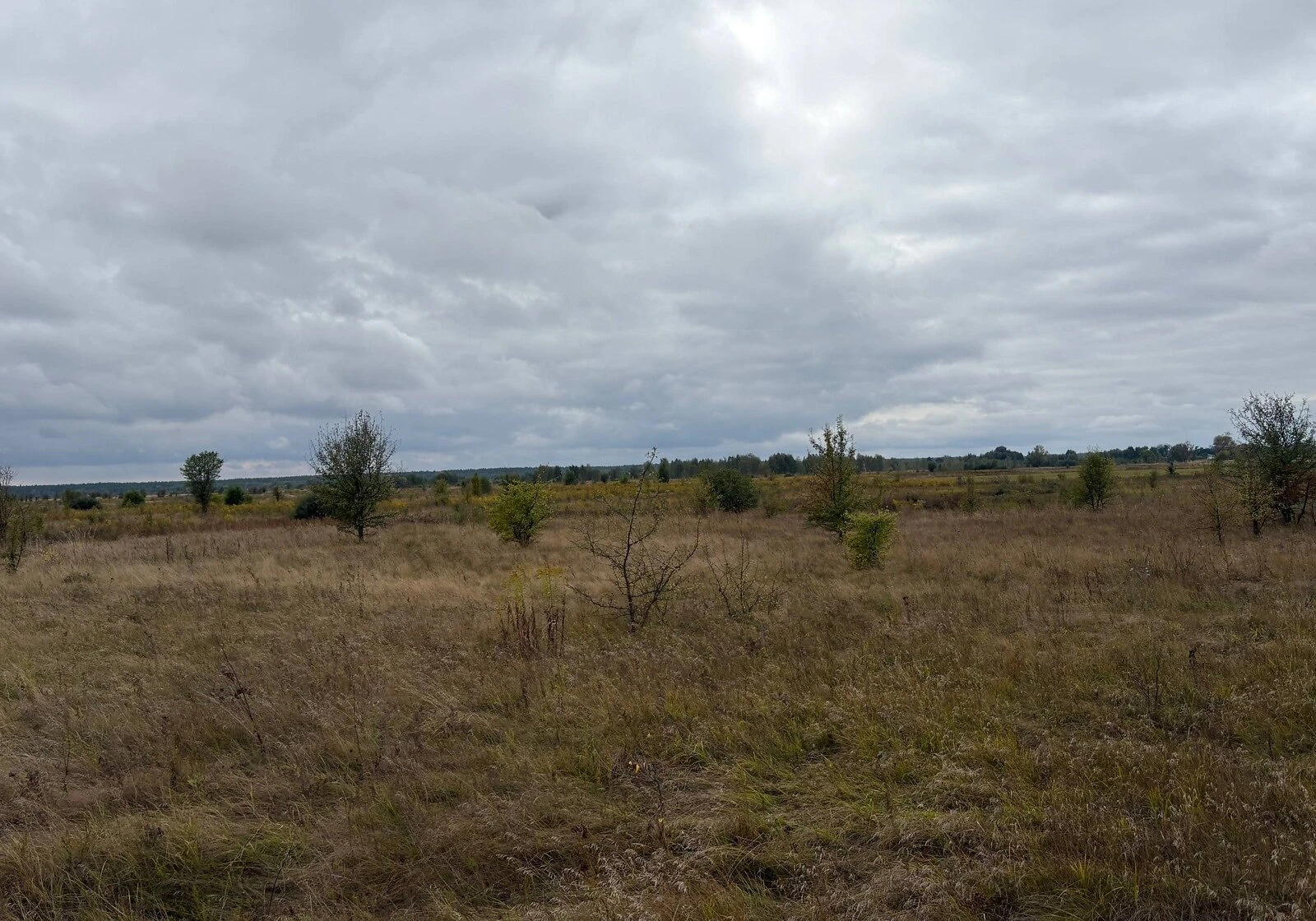 Ділянка 99 соток, Нижча Дубечня: 175 м завдовжки, 55 м завширшки, фото 4
