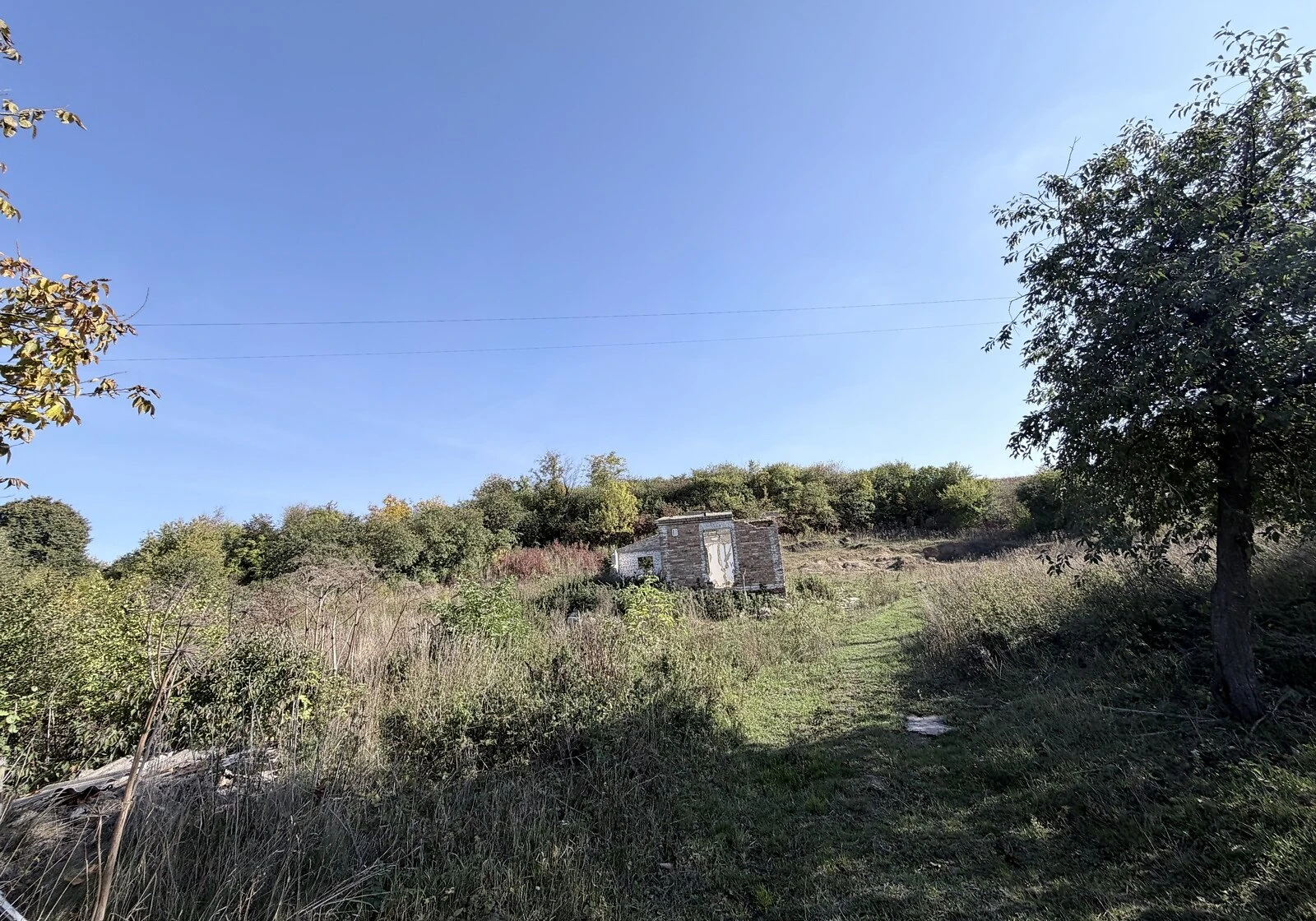 Ділянка 10 соток, Тинне: під житлову забудову, електрика, фото 5