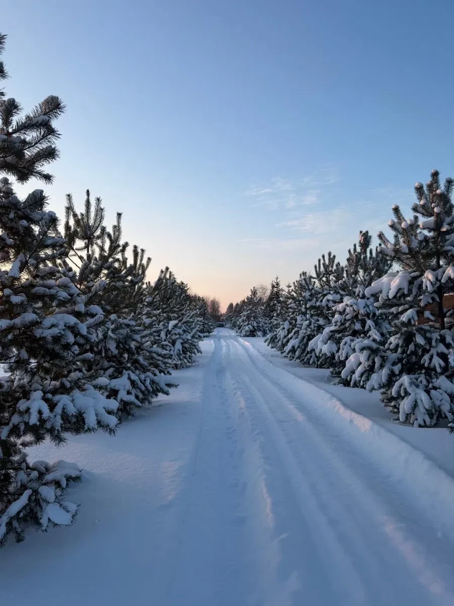 Ділянка 280 соток, Клепачів: власний ставок, 2 модульні будиночки - фото 4