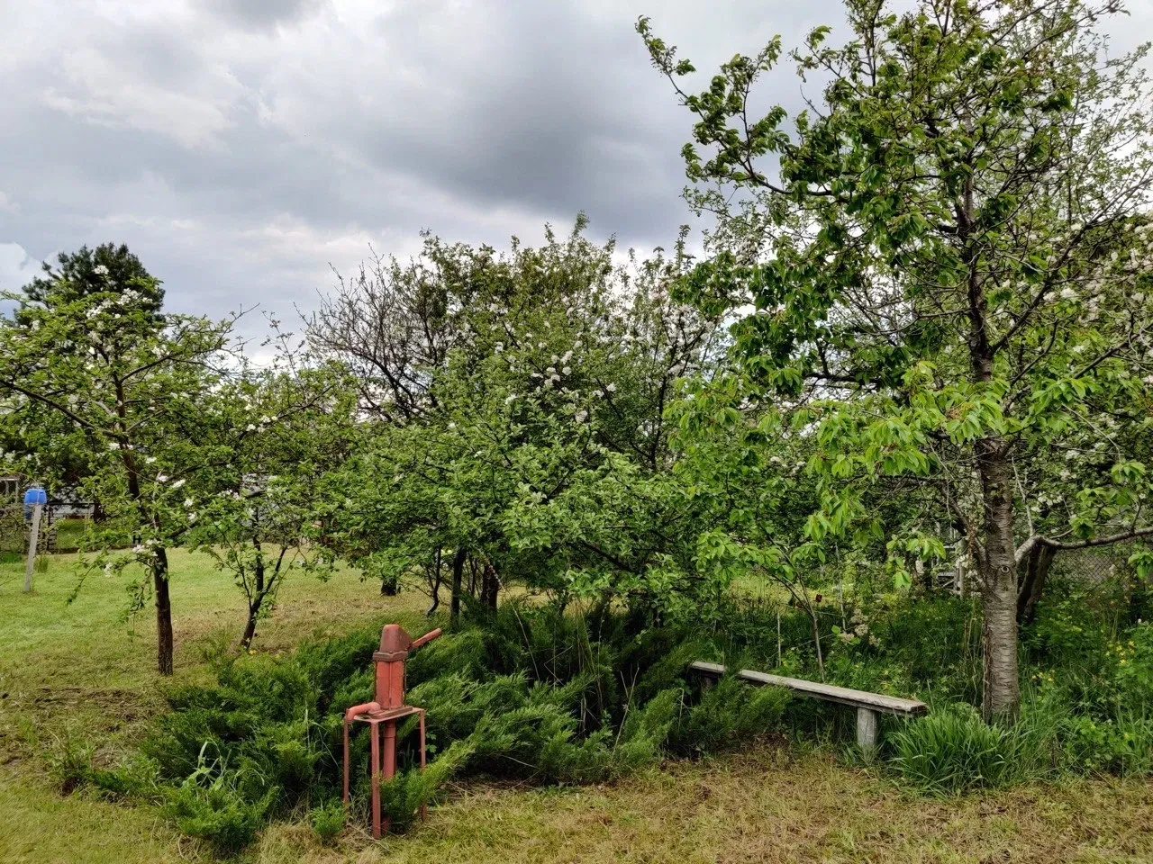 Дача, Андріївка: другий поверх під спальні, ліс і озеро - фото 4
