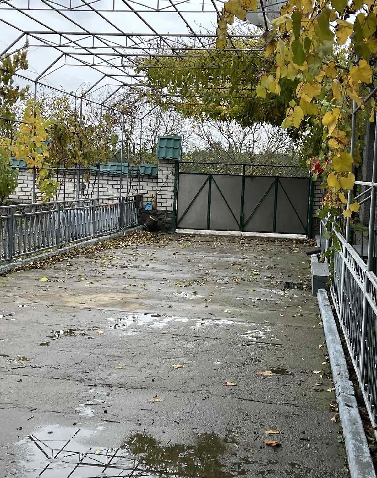 Будинок, Нова Одеса: гараж із підвалом, можливий торг, фото 4