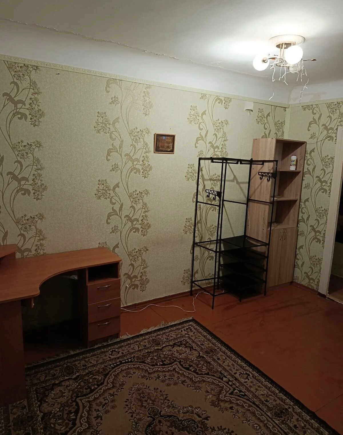 2-кімнатна квартира, Дніпро: цегляні стіни
