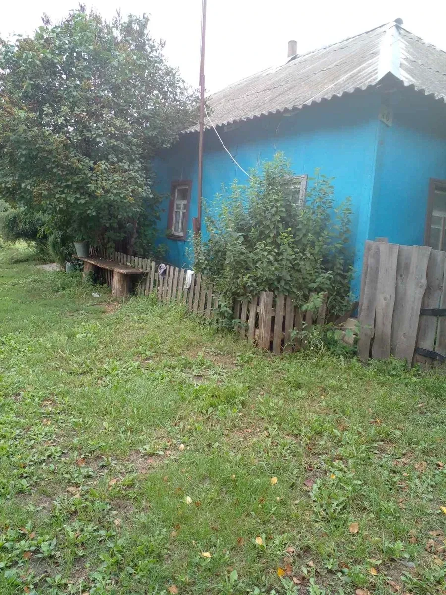 Дача, Новая Басань: 29 соток, новый погреб, фото 5