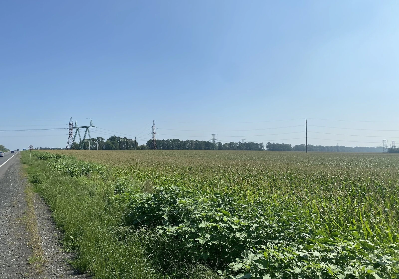 Ділянка 197 соток, Хацьки: рівнинний рельєф, чорнозем, електрика - фото 3