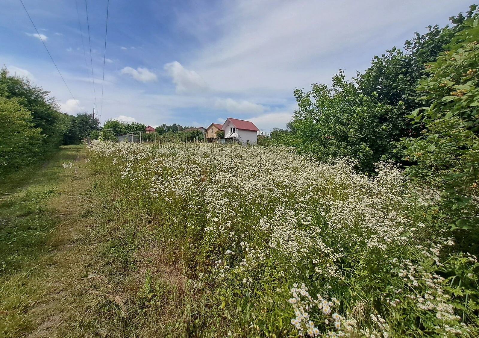Земельна ділянка, Івачів Долішній: під забудову, виноградник, фото 3