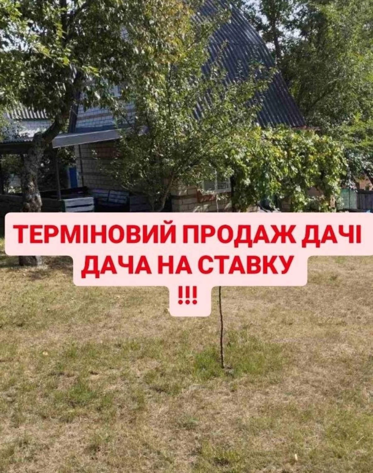 Дача, Высший Булатец: беседка, 7 соток, фото 3