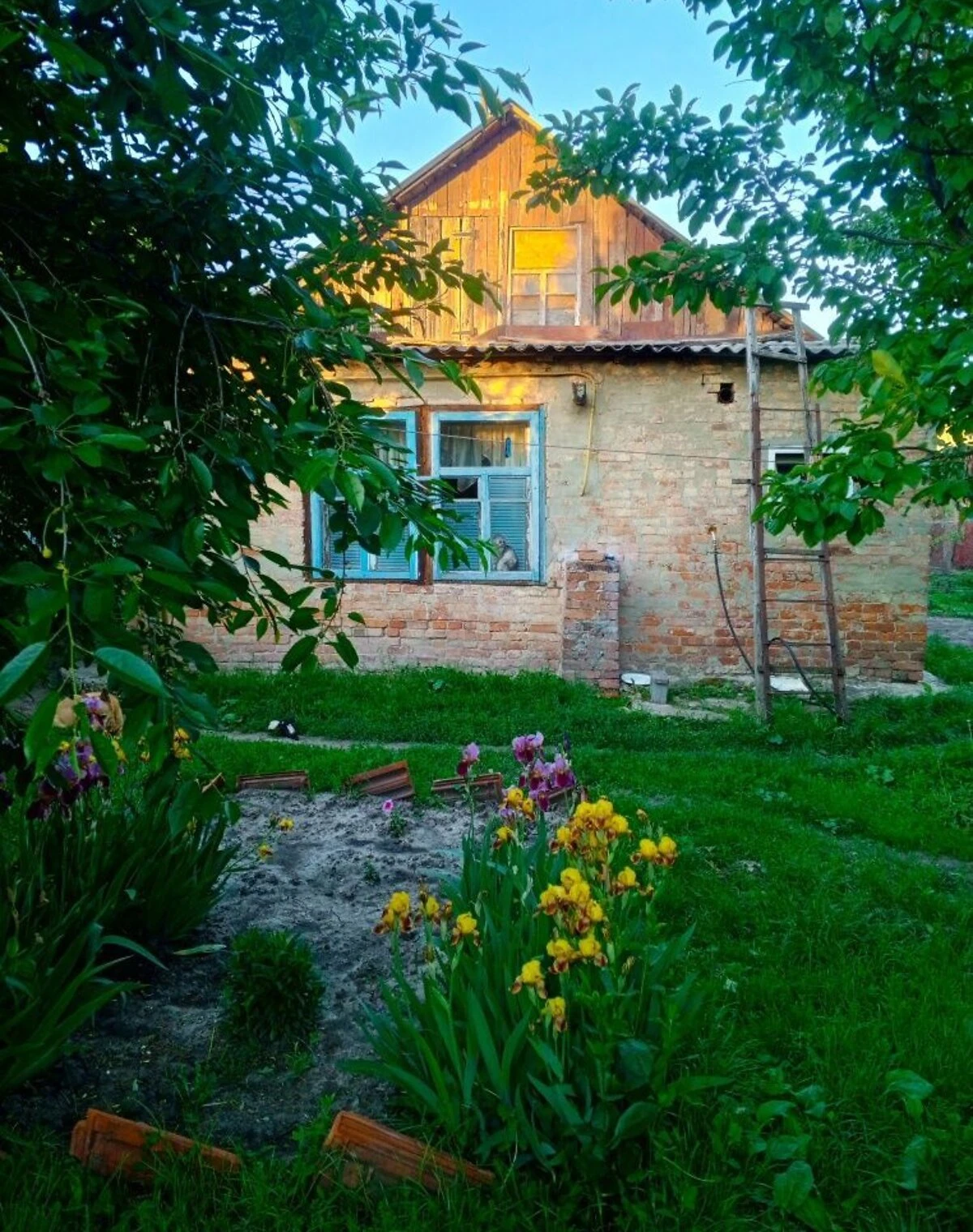 Частина будинку, Полтава: літня кухня, сад, фото 5